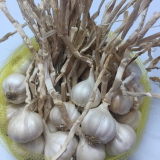 Tỏi Khô Phan Rang l1 1 kg
