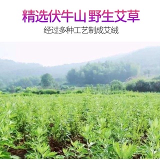 THẢM NGẢI CỨU [SALE] (Thảm thêu điều khiển bấm)