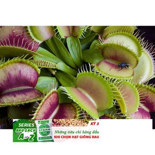 45a Hạt giống cây Bắt Ruồi + Diệt Côn Trùng ( 4- 5 hạt)