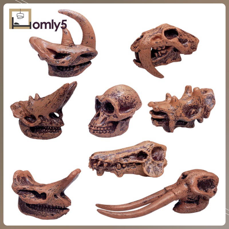 [Home Store] Animal Prehistoric Mammal Skull Model Cognitive Toys Figurines Gifts