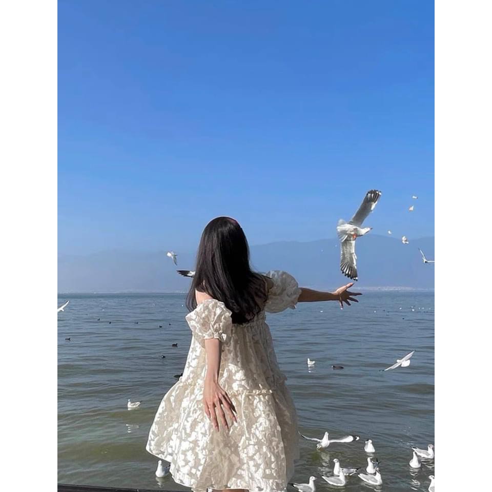 Váy Tiểu Thư Ren Hoa Nổi Cực Xinh | BigBuy360 - bigbuy360.vn