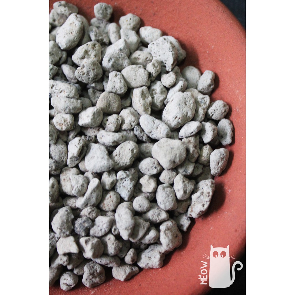 Đá bọt Nostiplant PUMICE nhập khẩu Indonesia | Cực tốt cho sen đá, xương rồng, kiểng lá