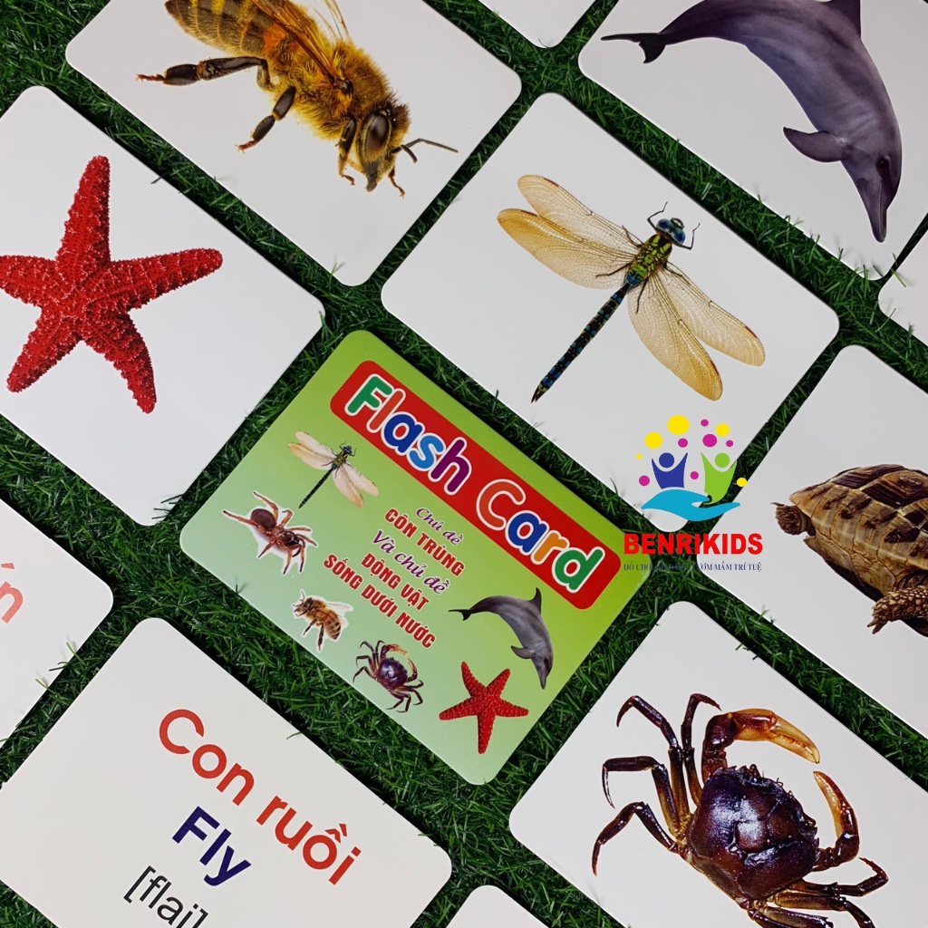 FlashCard Thông Minh Thẻ Học Song Ngữ Nhiều Chủ Đề Cho Bé Vừa Chơi Vừa Học Hiệu Quả