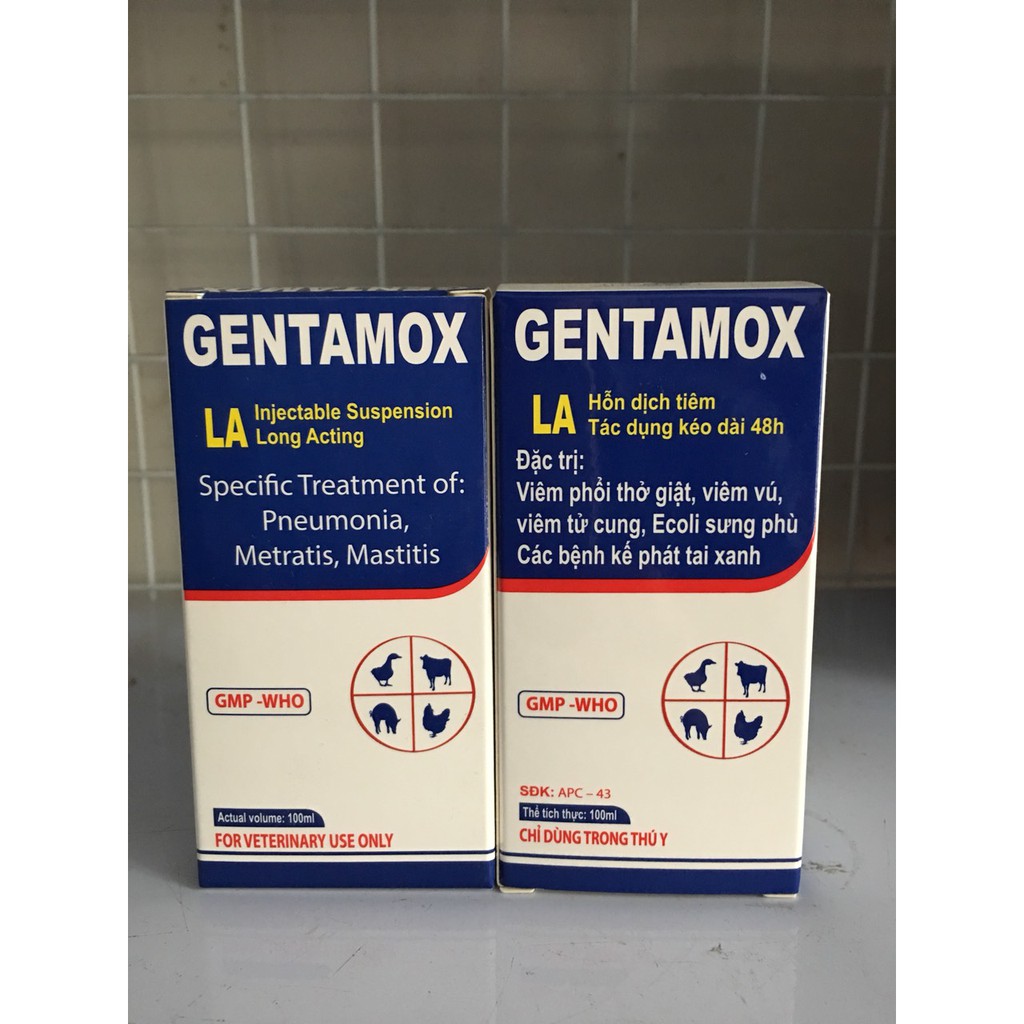 Viêm phổi, thở giật bụng, viêm ở vật nuôi Gentamox Inco (100ml)