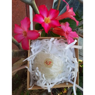 Yến tinh chế cao cấp 1 hộp