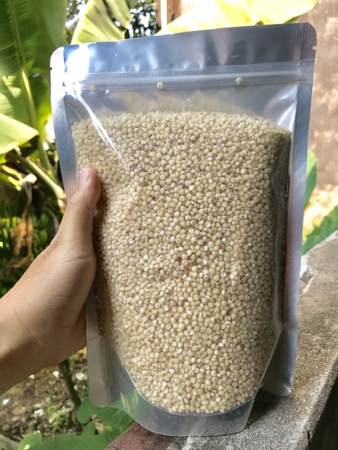 Hạt Ý dĩ (bo bo)