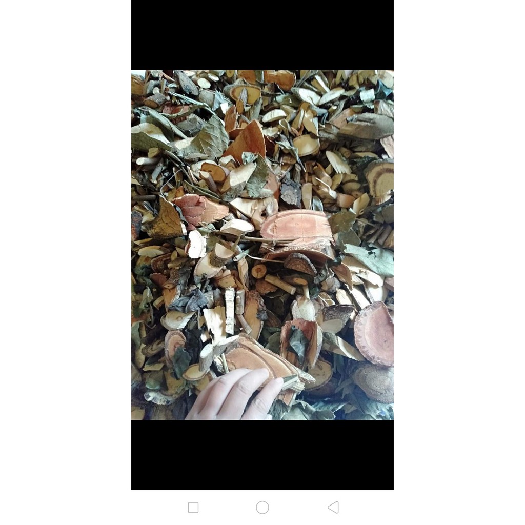 Lá Tắm Dao Đỏ Sapa dạng khô 1kg chuẩn 20 vị cây lá. | BigBuy360 - bigbuy360.vn