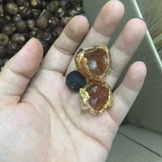 4 kg bồ hòn chưa tách hạt