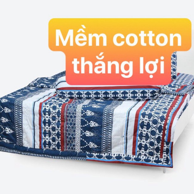 [ LOẠI 1] Mền Cotton Thắng Lợi Chần Gòn NHIỀU MÀU