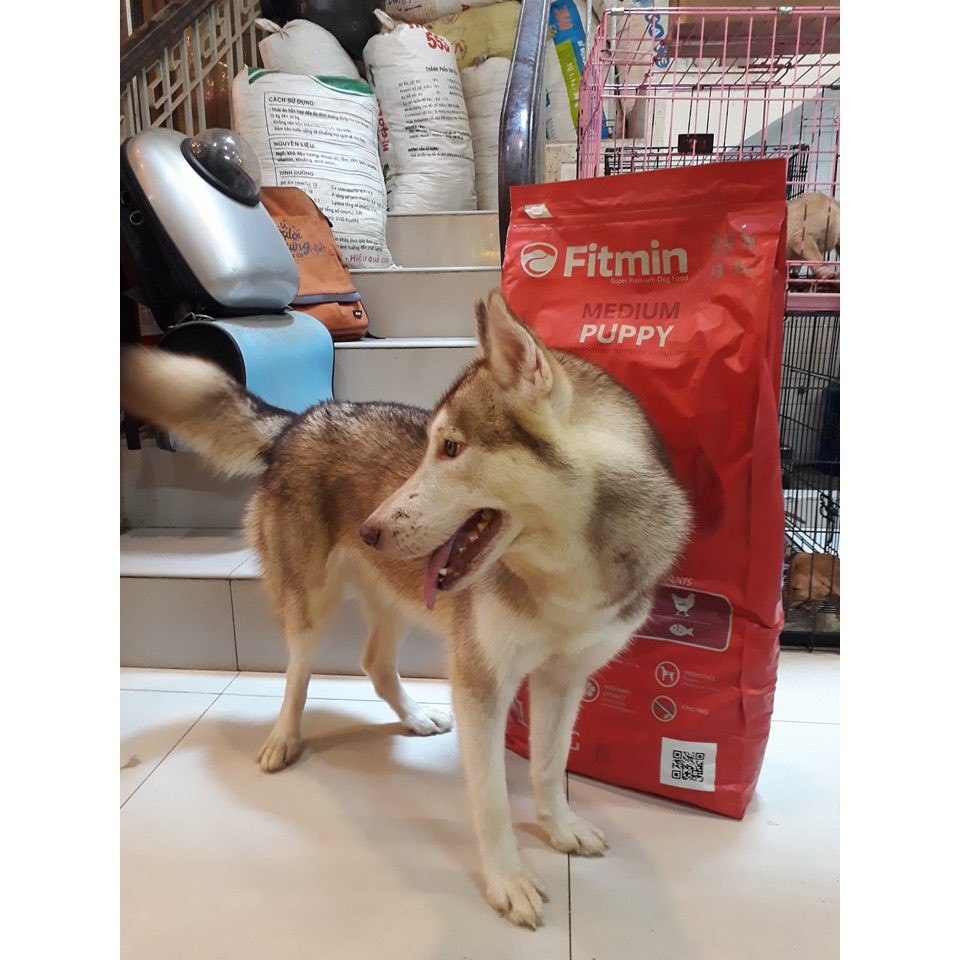 [Mã PET2405 giảm 10% đơn 250K] Thức ăn cho chó con Fitmin Dog Medium Puppy 15kg