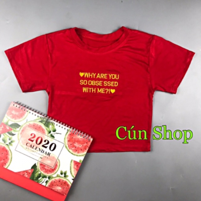 Áo croptop thun lạnh mềm mịn thêu chữ 5 màu RICH STORE CRT16