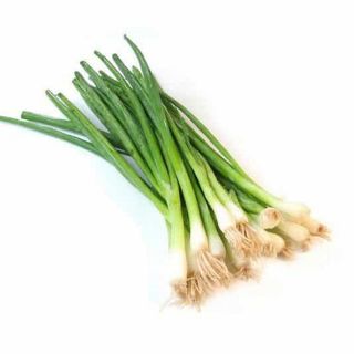 (Hạt Giống) Hành Lá Rạng Đông Rado 25  (1 gói/2.5g)