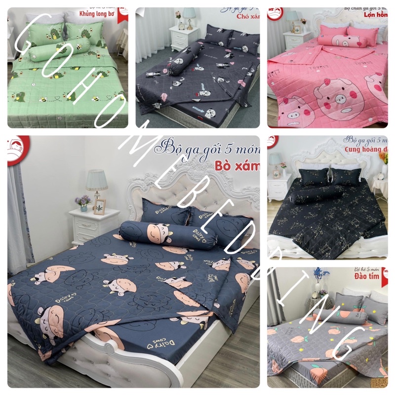 Ga và 2 vỏ gối m6/m8 chất cotton poly cao cấp hàng loại 1 mẫu mã đa dạng | BigBuy360 - bigbuy360.vn