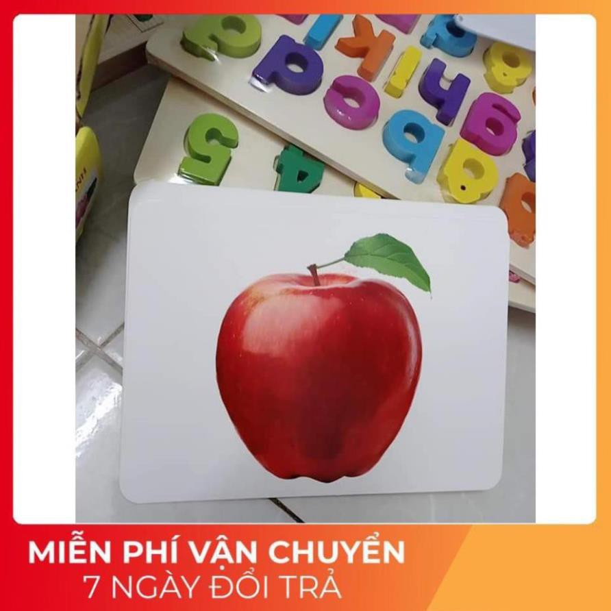 Bộ thẻ học thông minh Glenn Doman dạy bé nhận biết về Thế giới xung quanh, kết hợp dạy Từ vựng kt A5 - 15x21cm