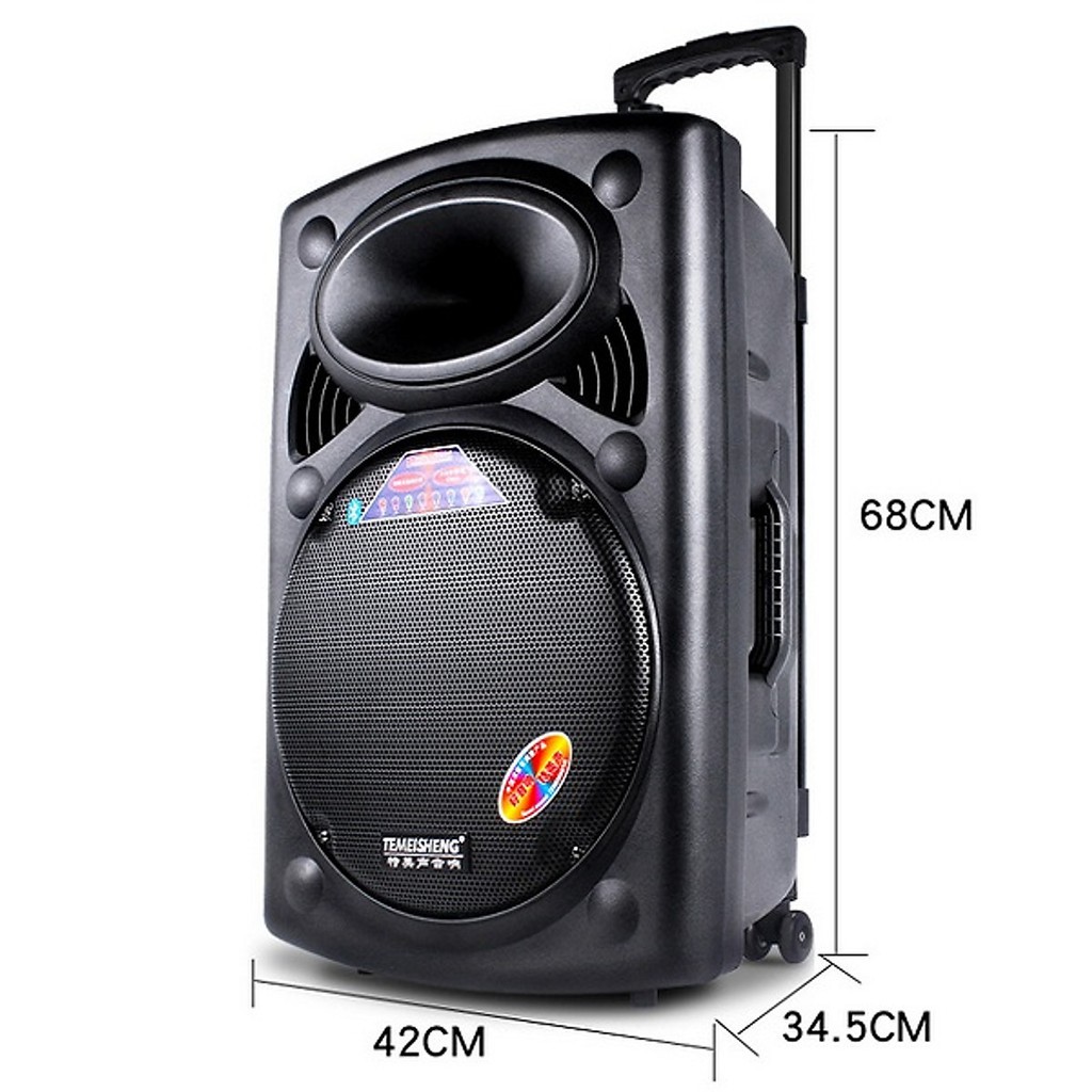 Loa kéo karaoke Temeisheng A1082021BASS 40CMLoa dùng cho du lịch , picnic