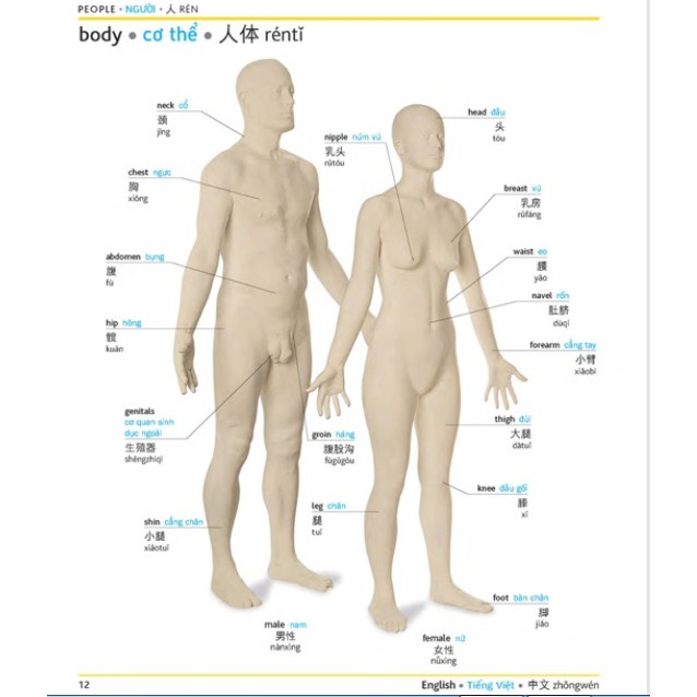 Sách - Từ điển hình ảnh Tam ngữ Anh Trung Việt - Visual English Vietnamese Chinese T | BigBuy360 - bigbuy360.vn