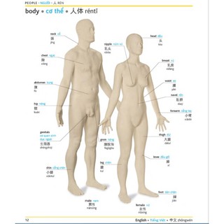Visual English Vietnamese Chinese Trilingual Dictionary