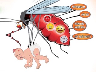 Xịt chống muỗi Pediakid Pháp