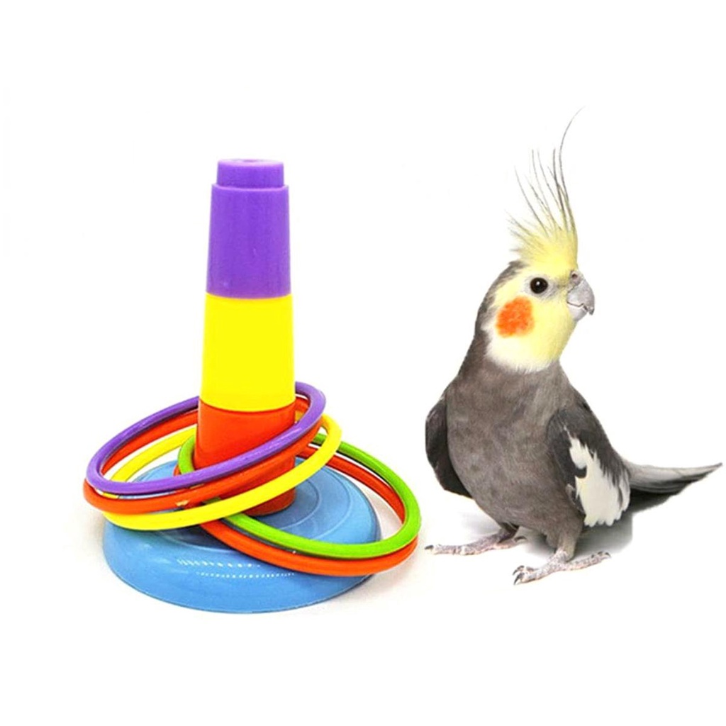Đồ Chơi Vòng Gặm Nhiều Màu Sắc Vui Nhộn Cho Chim Vẹt