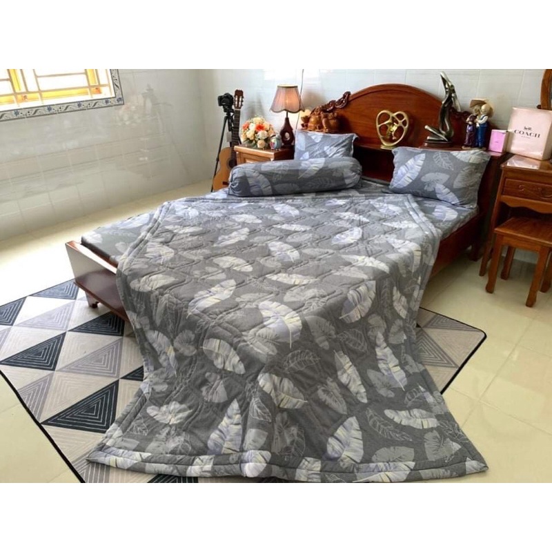 Bộ drap thun hàn quốc 4 món mẫu lá