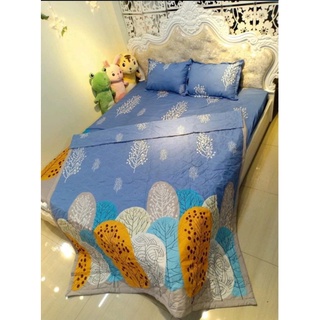 Bộ chăn ga 5 món cotton poly