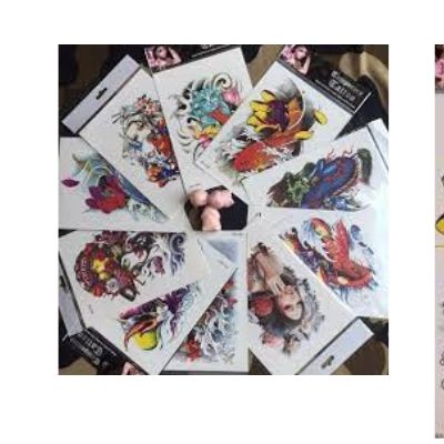 Cá chép đen có râu+ hình mini