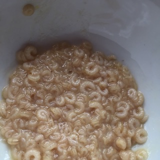 Ấu trùng ong chúa 1kg