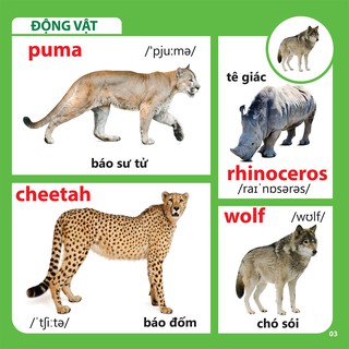 Bách Khoa Toàn Thư Cho Bé - Động Vật