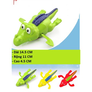 Cá Sấu Bơi Thông Minh