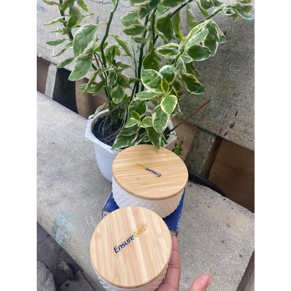 SÉT 2 THỐ SỨ CAO CẤP QUÀ TẶNG SỮA ENSURE GOLD