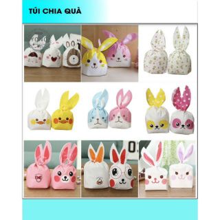 Túi chia quà sinh nhật set 5 cái