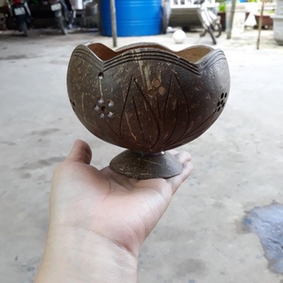 Chậu gáo dừa miệng kiểu có đế