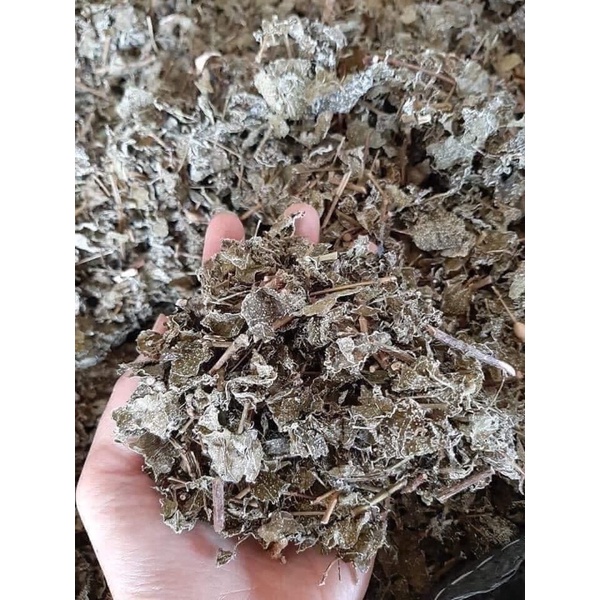 1kg Chè dây cao bằng sạch, nguyên chất