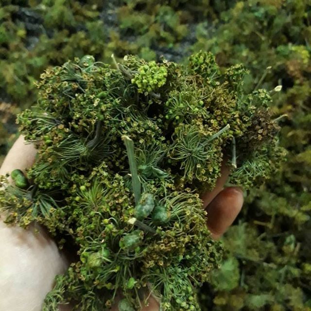 Hoa tam thất Bắc 500g khô