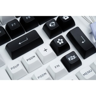 Bộ AKKO Keycap Black on White (PBT Double-Shot/ASA profile/158 nút)