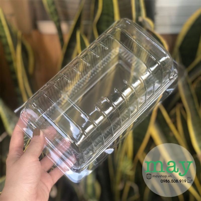 Combo 10 Hộp nhựa H53 đựng bánh gato, bánh bao