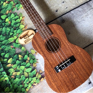 Đàn Ukulele Concert Rosen Gỗ LMN CB2