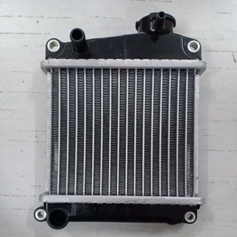 Két nước Honda Lead 110 SCR