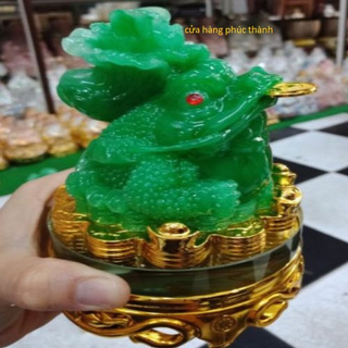 Cóc Thiềm Thừ xanh củ cải