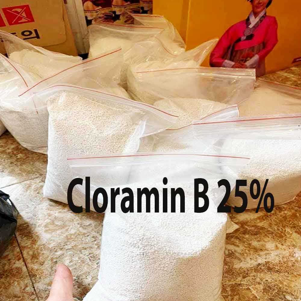 Cloramin B Diệt Khuẩn túi 1kg Dạng Bột, Dung Dịch Khử Khuẩn Bề Mặt, Nước Lau Nhà Phòng Chống Dịch Bệnh