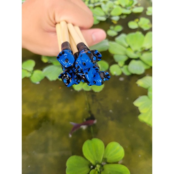 CÂY KÈ CÁ BETTA