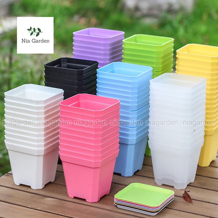 Chậu nhựa trồng cây sen đá xương rồng cây để bàn mini vuông màu pastel Nia Garden N8