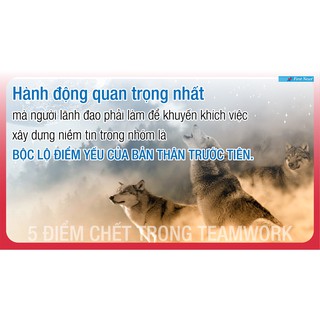 Sách 5 Điểm Chết Trong Teamwork FirstNews