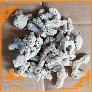 San hô vụn 1kg lọc nước cho hồ cá cảnh