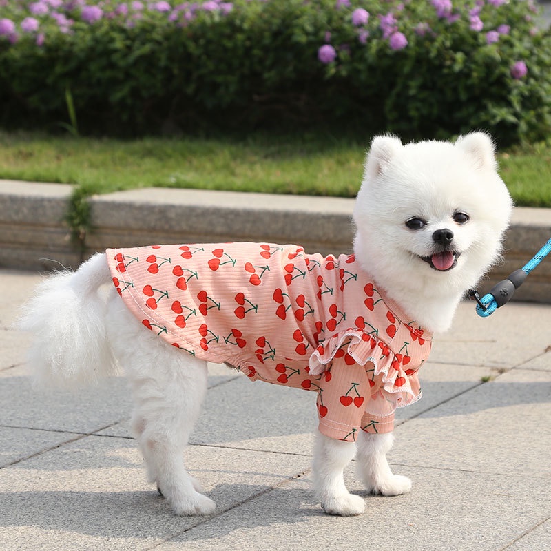Quần áo cho chó, quần áo mèo, quần áo cho thú cưng cherry dễ thương, phù hợp với chó vừa và nhỏ