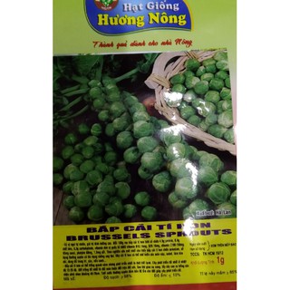 Hạt bắp cải tí hon - gói 1 gram