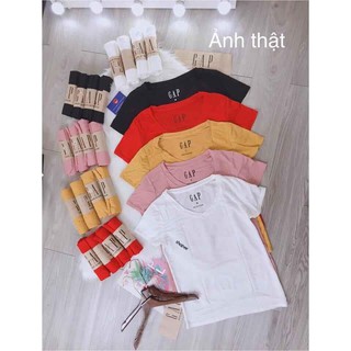 Áo thun nữ cổ tim Gap (100% cotton)