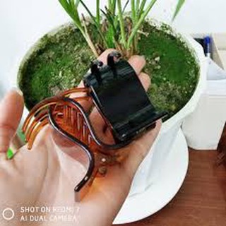 Kẹp Tóc Càng Cua 5 Răng, 3 Răng ( Đen + Nâu + Trong Suốt)