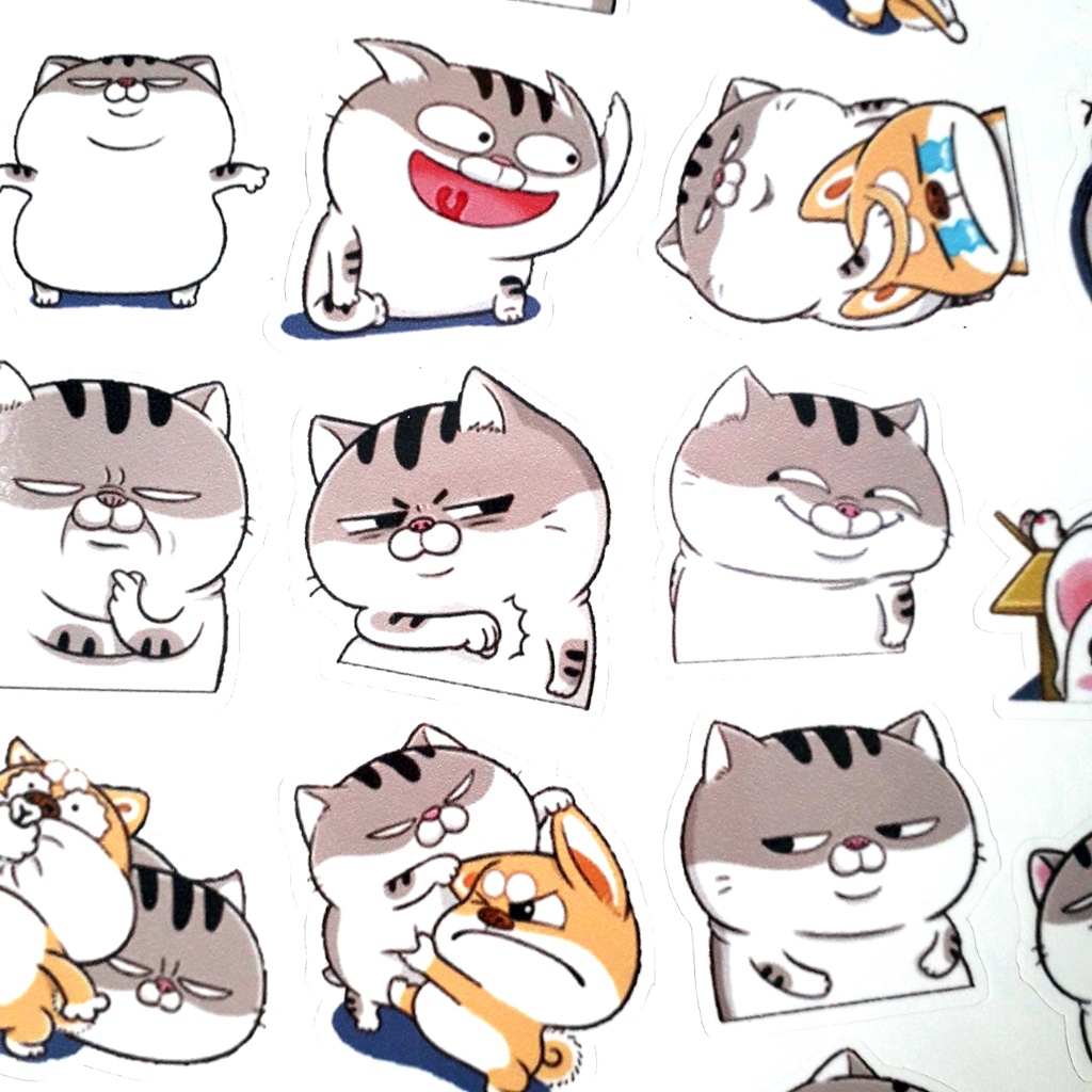 Sticker/ Hình dán mèo AMI bụng bự dùng trang trí điện thoại, laptop, sổ tay, thiệp....