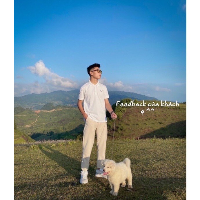 Áo thun polo nam basic, áo thun cổ bẻ tay lỡ logo thêu, chất thun cotton nhẹ thoáng mát, chuẩn phom - PLN1